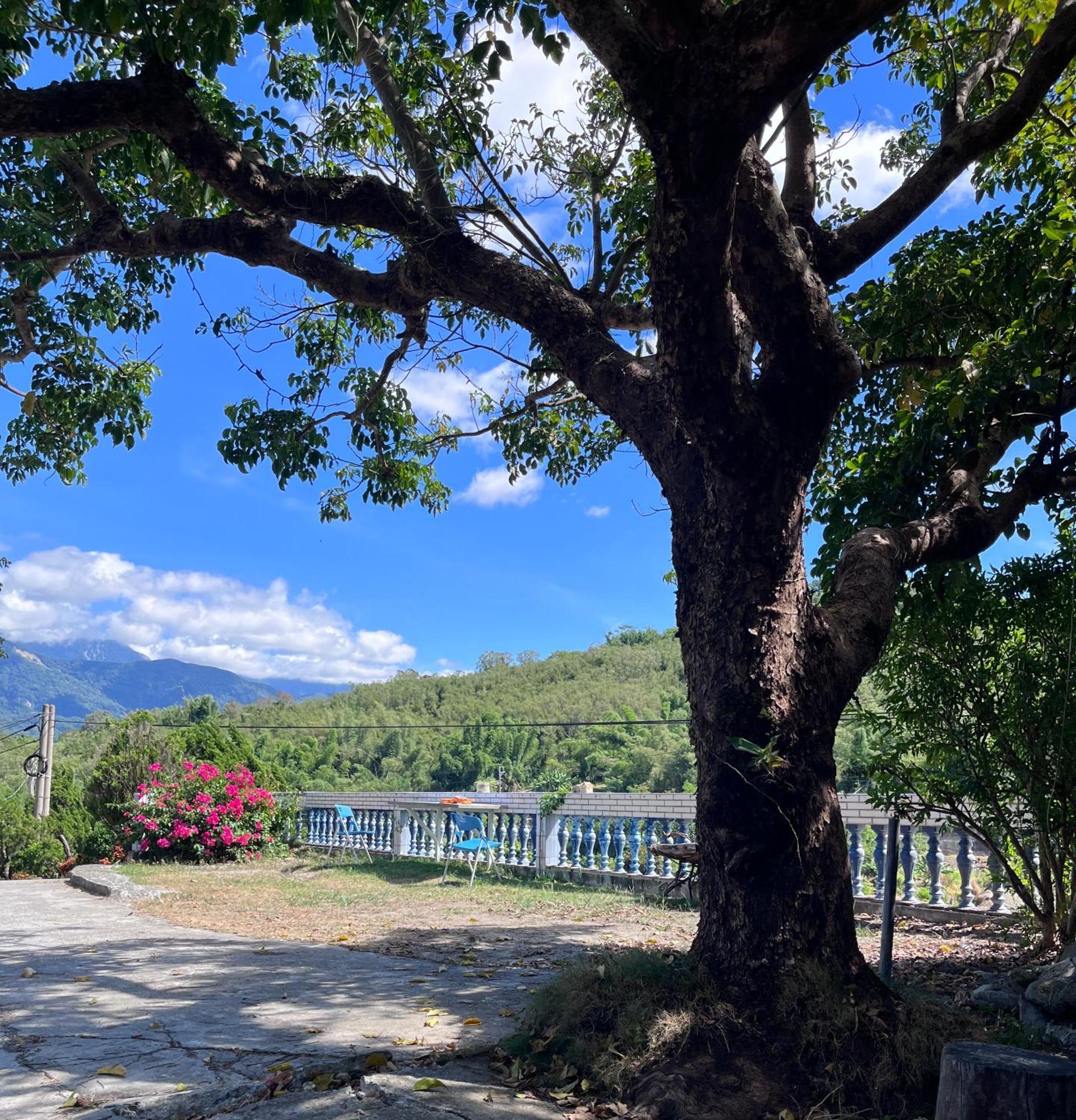 十畝田山莊會館 Hotel Chishang Bagian luar foto