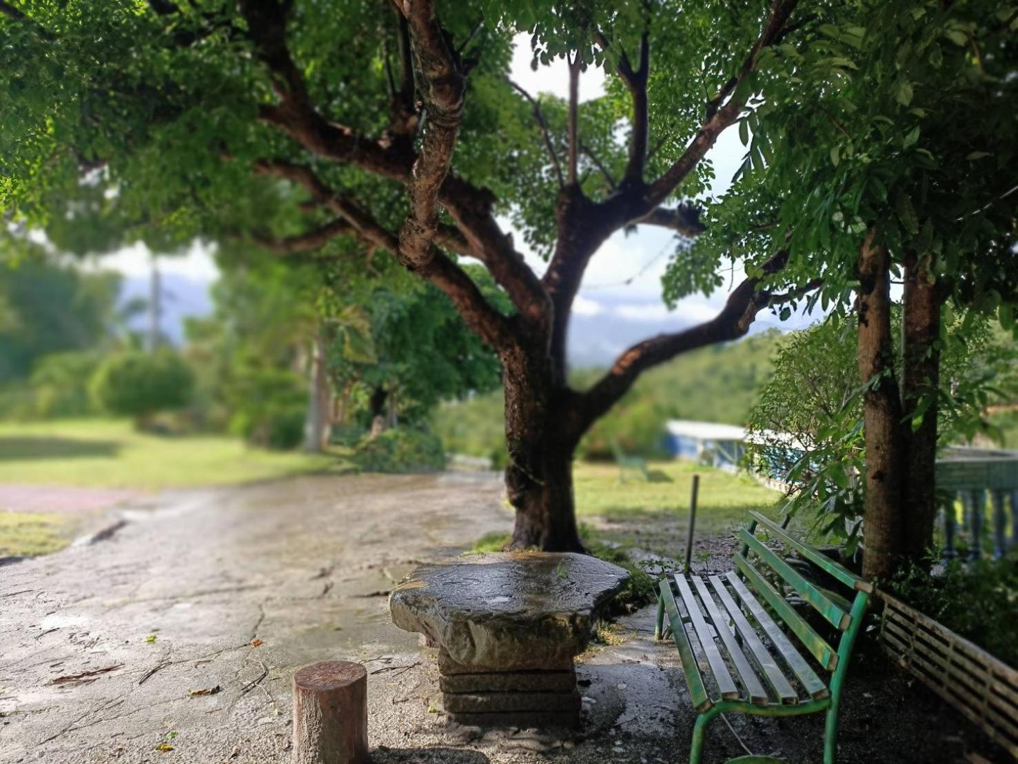 十畝田山莊會館 Hotel Chishang Bagian luar foto