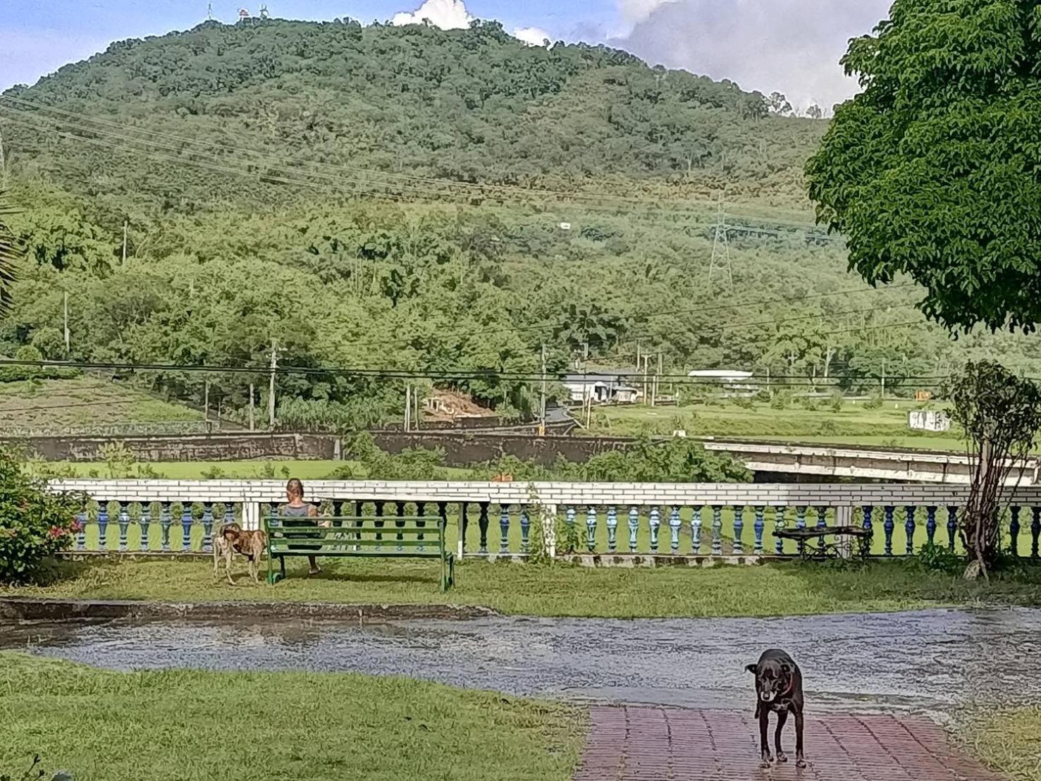 十畝田山莊會館 Hotel Chishang Bagian luar foto